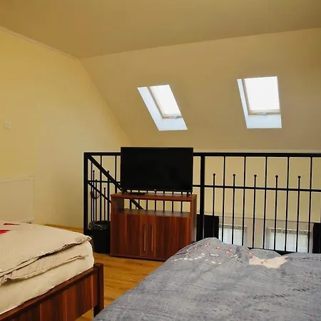 Viktor Vendeghaz Es Apartmanhaz Guest house Baktaloranthaza