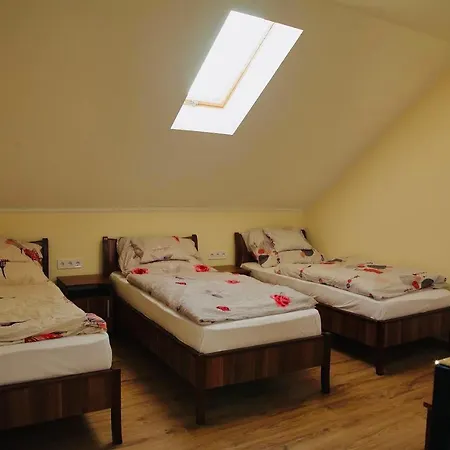 Guest house Viktor Vendeghaz Es Apartmanhaz *