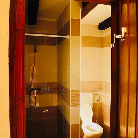 Viktor Vendeghaz Es Apartmanhaz *